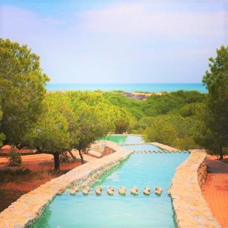 Apartment With Pool, Sea Views & Balcony Less Than 10Min Walk To La Mata Beach! Torrevieja Exteriör bild